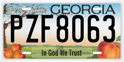 GA license plate PZF8063