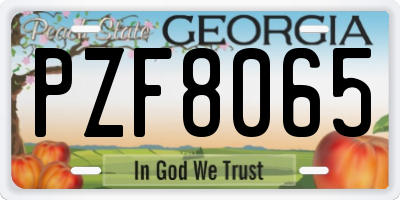 GA license plate PZF8065