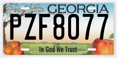 GA license plate PZF8077