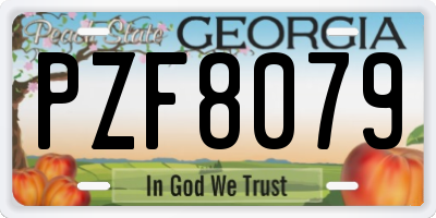 GA license plate PZF8079