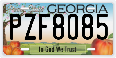 GA license plate PZF8085