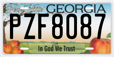 GA license plate PZF8087