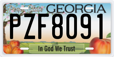 GA license plate PZF8091
