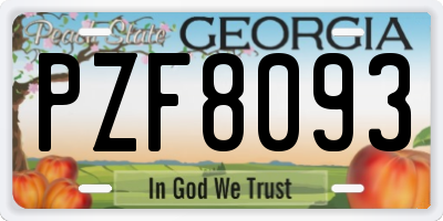 GA license plate PZF8093
