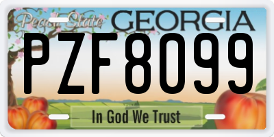 GA license plate PZF8099