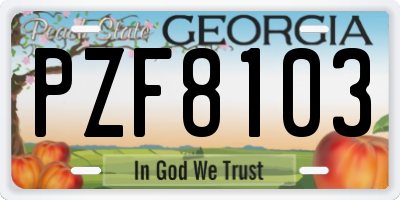 GA license plate PZF8103