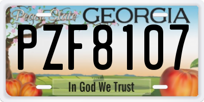GA license plate PZF8107