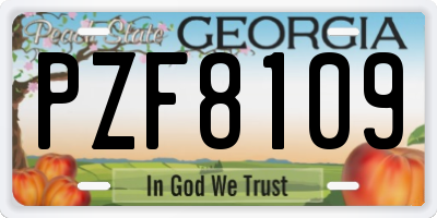 GA license plate PZF8109