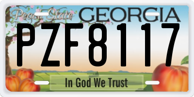 GA license plate PZF8117