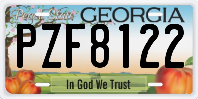 GA license plate PZF8122