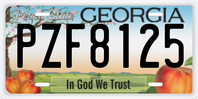 GA license plate PZF8125