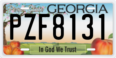 GA license plate PZF8131