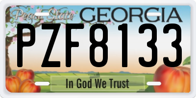 GA license plate PZF8133