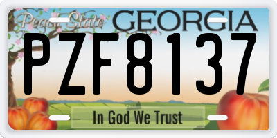 GA license plate PZF8137