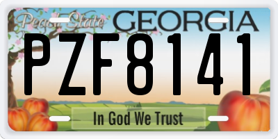 GA license plate PZF8141