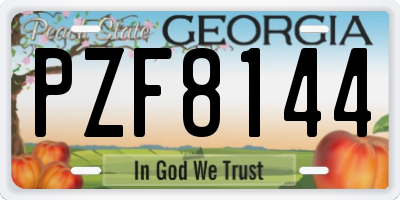 GA license plate PZF8144