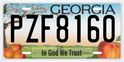 GA license plate PZF8160