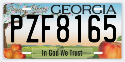 GA license plate PZF8165