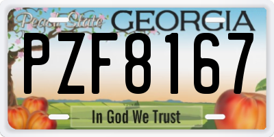 GA license plate PZF8167