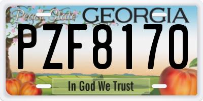 GA license plate PZF8170
