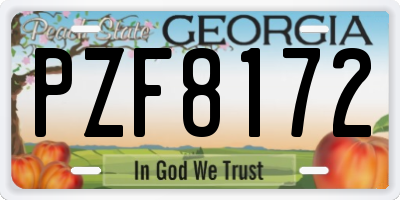 GA license plate PZF8172