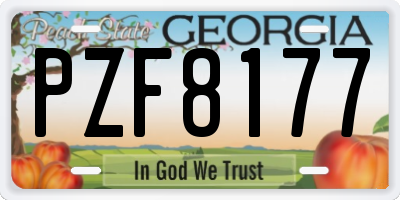 GA license plate PZF8177
