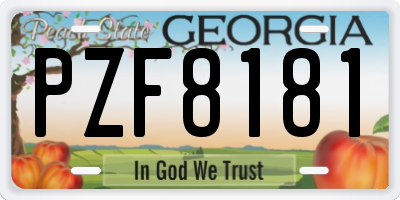 GA license plate PZF8181
