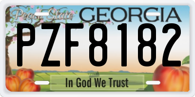 GA license plate PZF8182