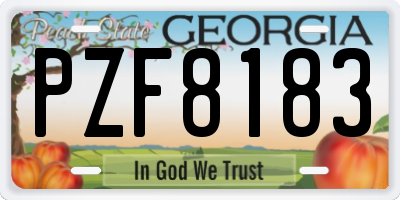 GA license plate PZF8183