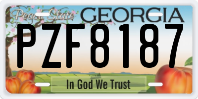 GA license plate PZF8187