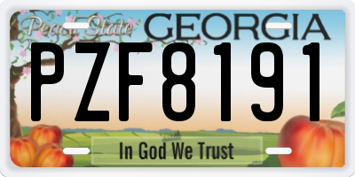 GA license plate PZF8191