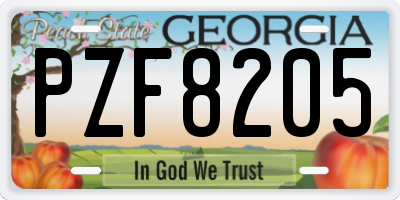 GA license plate PZF8205