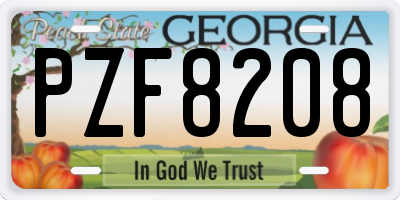 GA license plate PZF8208