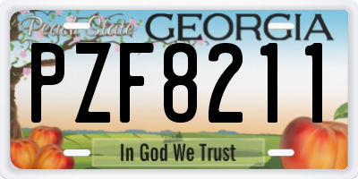 GA license plate PZF8211