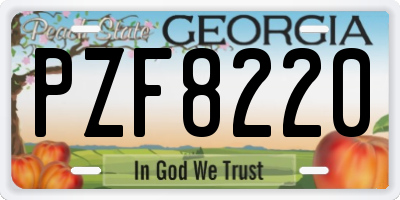 GA license plate PZF8220