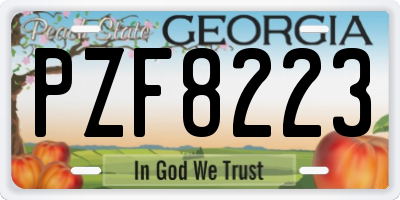 GA license plate PZF8223