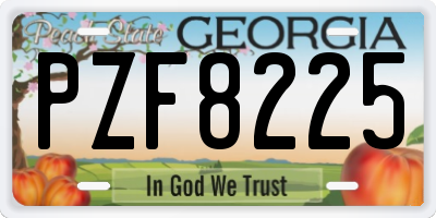 GA license plate PZF8225