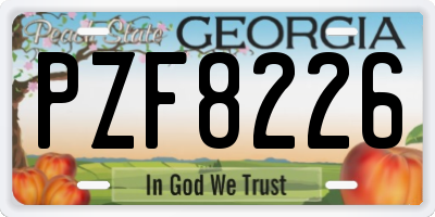 GA license plate PZF8226