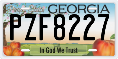 GA license plate PZF8227