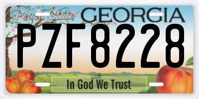 GA license plate PZF8228
