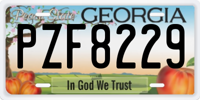GA license plate PZF8229