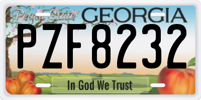 GA license plate PZF8232