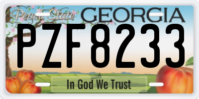 GA license plate PZF8233