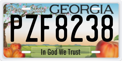GA license plate PZF8238