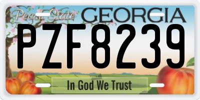 GA license plate PZF8239
