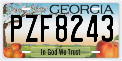 GA license plate PZF8243