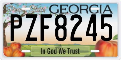 GA license plate PZF8245