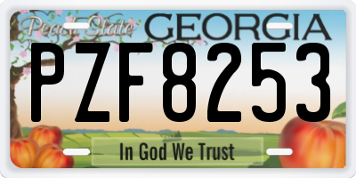 GA license plate PZF8253