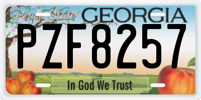 GA license plate PZF8257