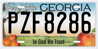 GA license plate PZF8286